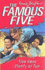 Five Have Plenty of Fun: Book 14 (Famous Five)