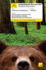 Teach Yourself Computing for the Over 50s Windows Vista Edition (Tyco)