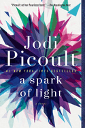 spark of light a novel