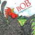 Bob: a Picture Book