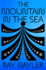 The Mountain in the Sea: a Novel