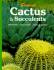 Cactus and Succulents