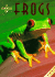 A Chorus of Frogs (Close Up)