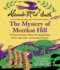 The Mystery of Meerkat Hill (Precious Ramotswe Mysteries for Young Readers)