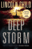 Deep Storm: a Novel