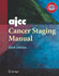 Ajcc Cancer Staging Manual Plus Eztnm. 6ed (Pb)