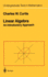 Linear Algebra: an Introductory Approach (Undergraduate Texts in Mathematics)