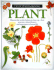 Plant (Eyewitness)