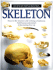 Skeleton (Eyewitness Books)