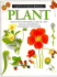 Plant (Eyewitness Books)