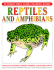Field Guide to Reptiles and Amphibians Coloring Book