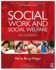 Social Work and Social Welfare: an Invitation (New Directions in Social Work)