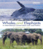 Whales and Elephants in International Conservation Law and Politics a Comparative Study Routledge Research in International Environmental Law