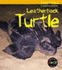 Animals in Danger: Leatherback Turtle Paperback