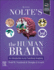 Nolte's the Human Brain-E-Book