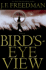 Bird's-Eye View: a Novel