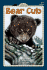 Bear Cub (All Aboard Science Reader)