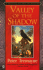 Valley of the Shadow (Sister Fidelma Mysteries)