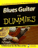 Blues Guitar for Dummies Gtr