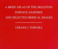 brief atlas of the skeleton surface anatomy and selected medical images