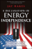 A Declaration of Energy Independence: How Freedom From Foreign Oil Can Improve National Security, Our Economy, and the Environment