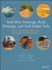 Acid Mine Drainage, Rock Drainage, and Acid Sulfate Soils: Causes, Assessment, Prediction, Prevention, and Remediation