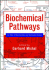 Biochemical Pathways: an Atlas of Biochemistry and Molecular Biology