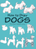 How to Draw Dogs (How to Draw (Dover))