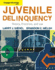 Juvenile Delinquency: Theory, Practice and Law