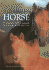 In Celebration of the Horse