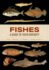 Fishes: a Guide to Their Diversity