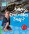 Why Do Crocodiles Snap? Level 3 Factbook (Cambridge Young Readers)