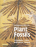 An Introduction to Plant Fossils