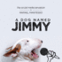 A Dog Named Jimmy: the Social Me