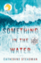 Something in the Water: a Novel