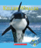 Killer Whales (Natures Children)