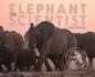 The Elephant Scientist Format: Paperback