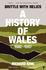 Brittle with Relics: A History of Wales, 1962-97 ('Oral history at its revelatory best' DAVID KYNASTON)