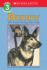 Buddy: the First Seeing Eye Dog (Hello Reader! , Level 4); 9780590265850; 0590265857