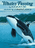 Whales Passing