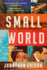 Small World: a Novel