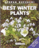 Best Water Plants (Amateur Gardening Guide)