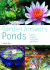 Garden Answers: Ponds: Expert Answers to All Your Questions (Garden Answers S. )