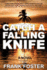 Catch a Falling Knife