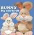 Bunny Big and Small: Pet Parade Board Book