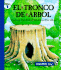 El Tronco De Arbol / the Tree Stump (Let Me Read) (Spanish Edition)
