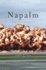 Napalm: an American Biography