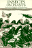 Insects on Plants
