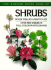 Shrubs (Random House Book of...(Garden Plants))
