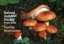 National Audubon Society Pocket Guide: Familiar Mushrooms (National Audubon Society Pocket Guides)